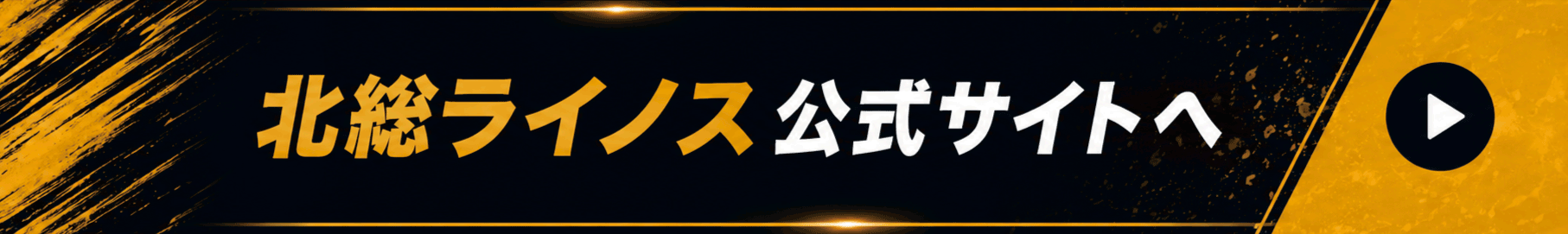 北総ライノス公式ページへ